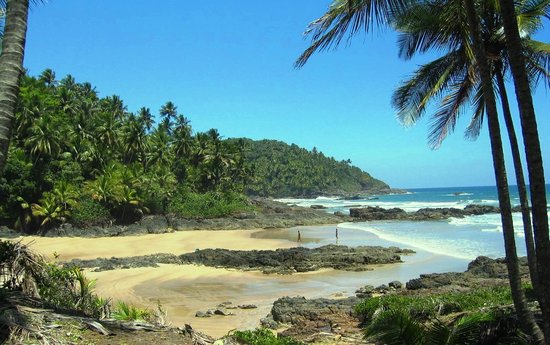 Itacare Tropical Paradise Travel