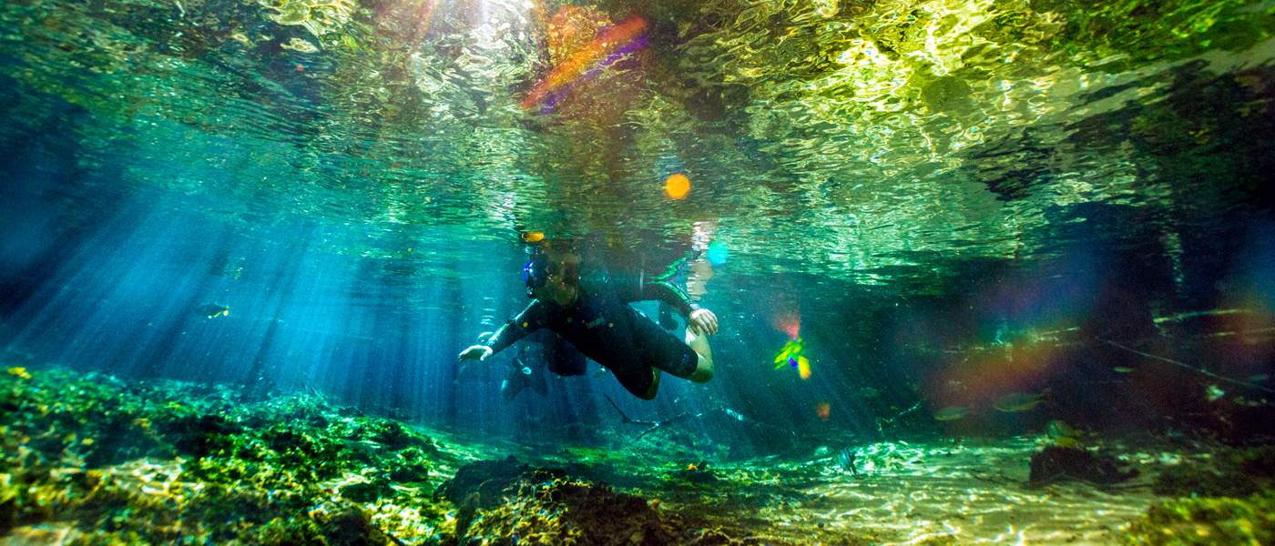 Bonito & The Pantanal Tour Travel